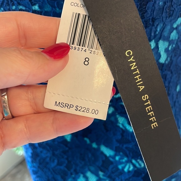NWT Cynthia Steffe blue lace zebra pattern combo mini dress sheath size 8 - Picture 6 of 13
